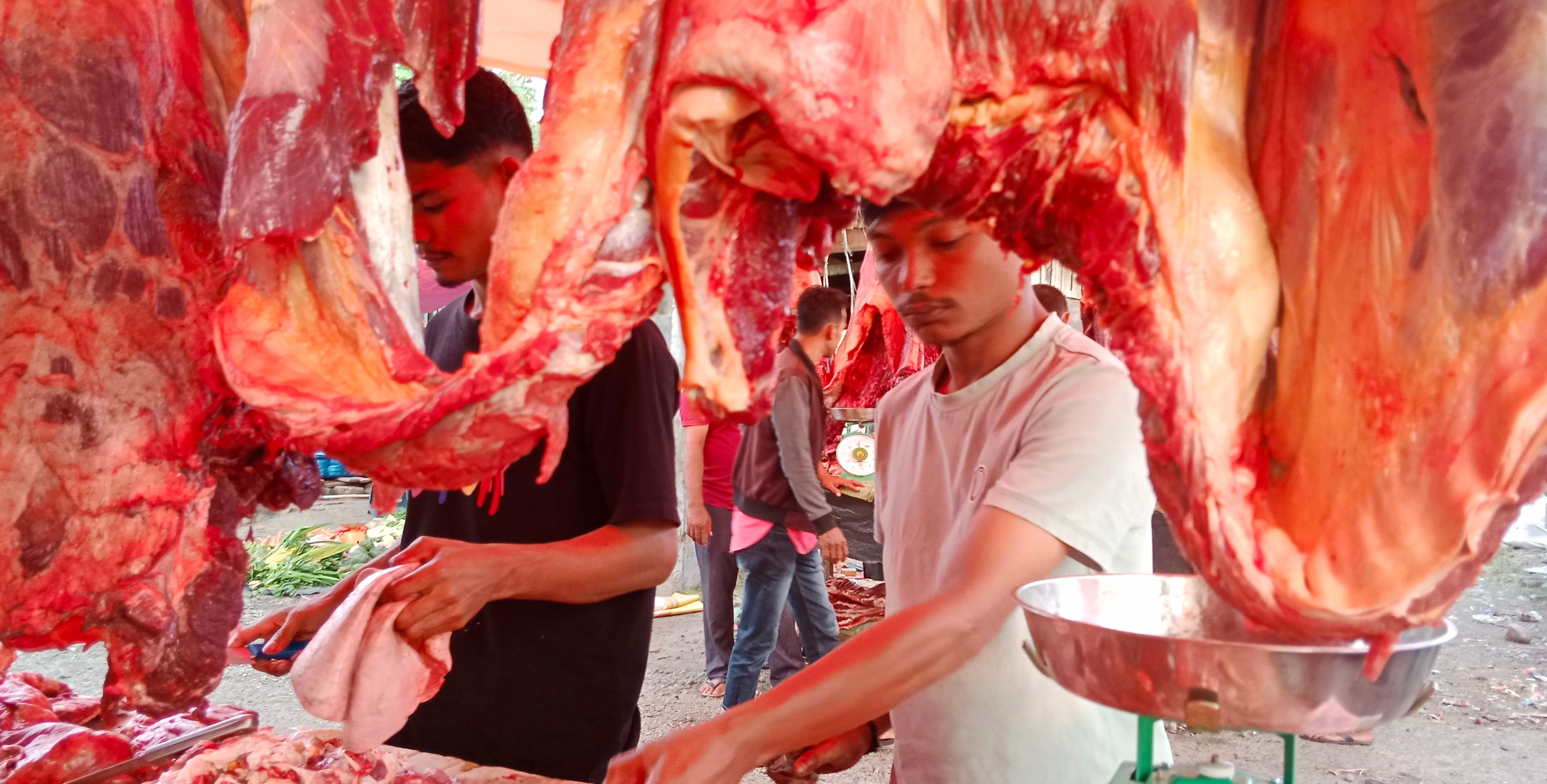 Buffalo and Beef Prices Soar in Aceh Ahead of Eid al-Fitr 1447 H