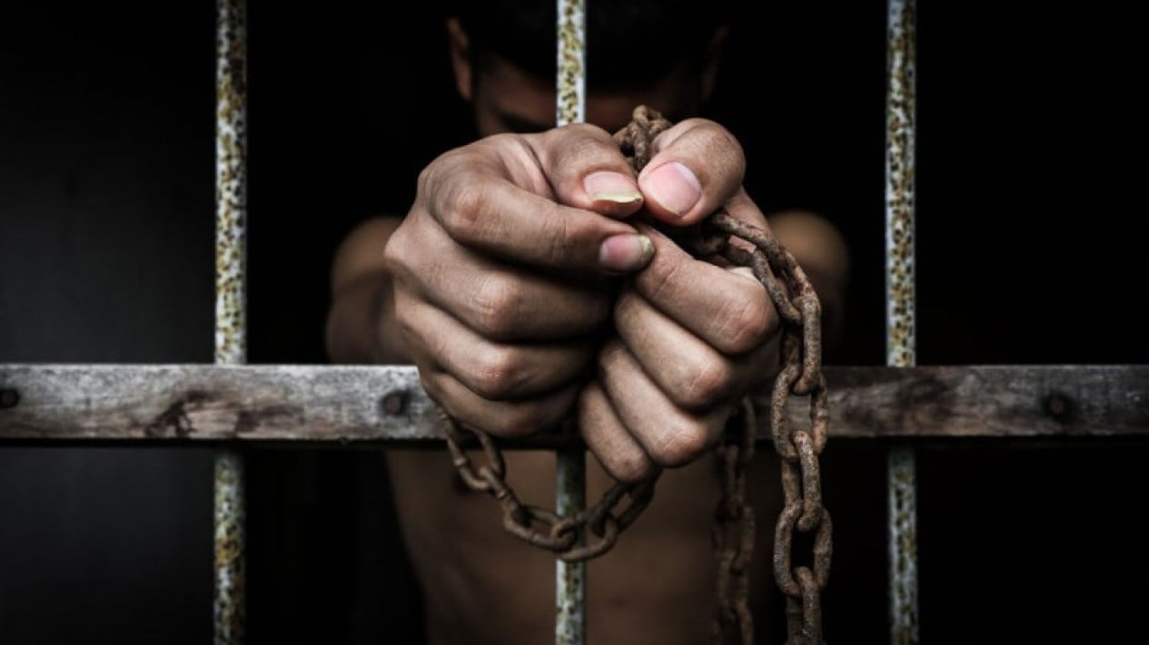 155,000 Prisoners Granted Eid al-Fitr Remission in 2026