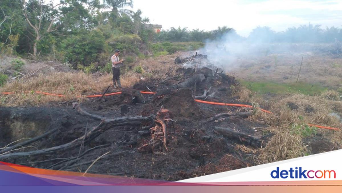 Police Catch Man Red-Handed Burning Land in Rokan Hilir, Riau