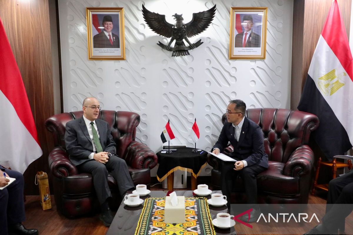 Egyptian Ambassador extends Idul Fitri greetings to Indonesian people