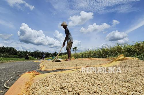 WFP: 45 Million People at Risk of Hunger, Indonesia Has Rice Surplus