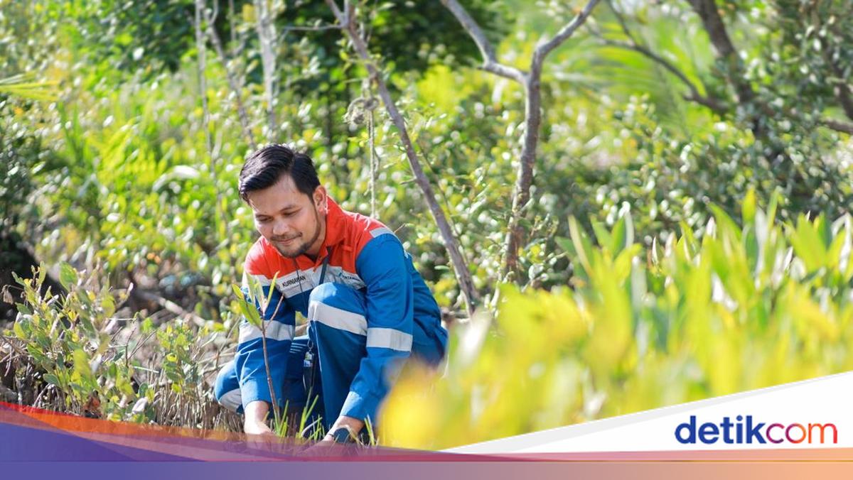 Pertamina's Sustainable Forest: Weaving Harmony with Nature, Reaping Community Prosperity