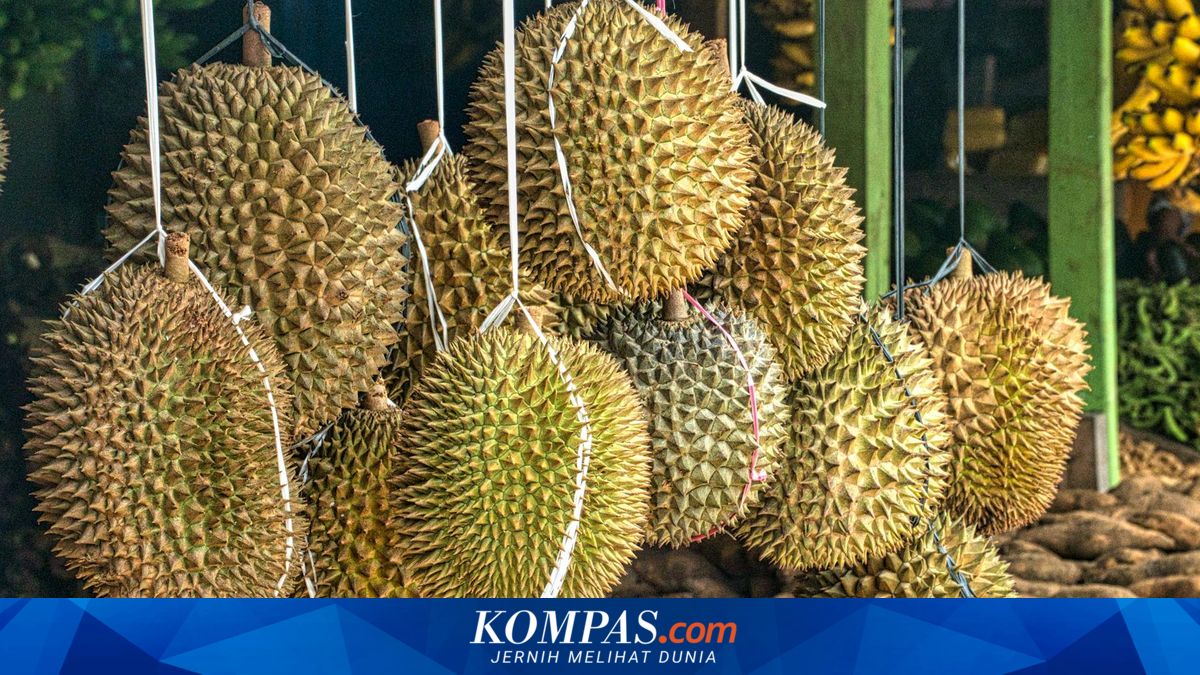 Vietnam's Durian and Lobster Exports to China Surge Sharply in Early 2026