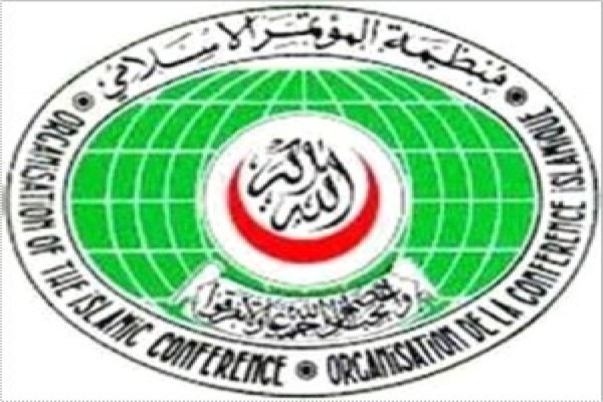 OIC Condemns Israel's Attack on Military Infrastructure in Southern Syria