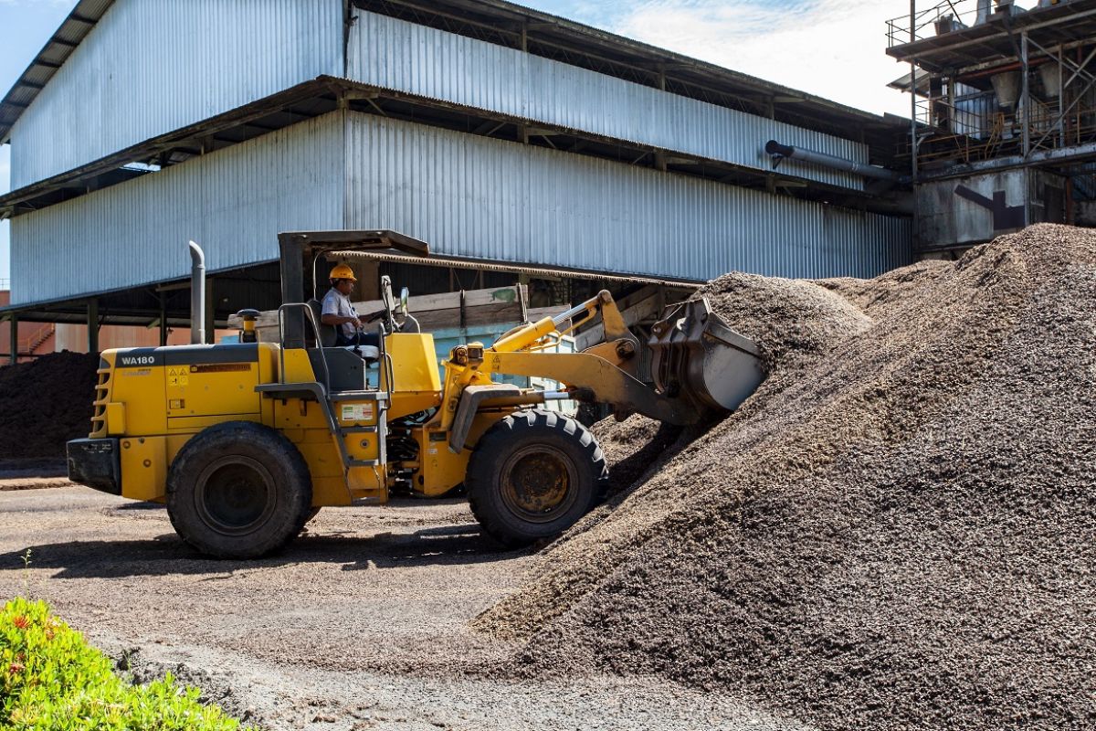 IPB: Palm Oil Waste Has Potential to Become High-Value Products