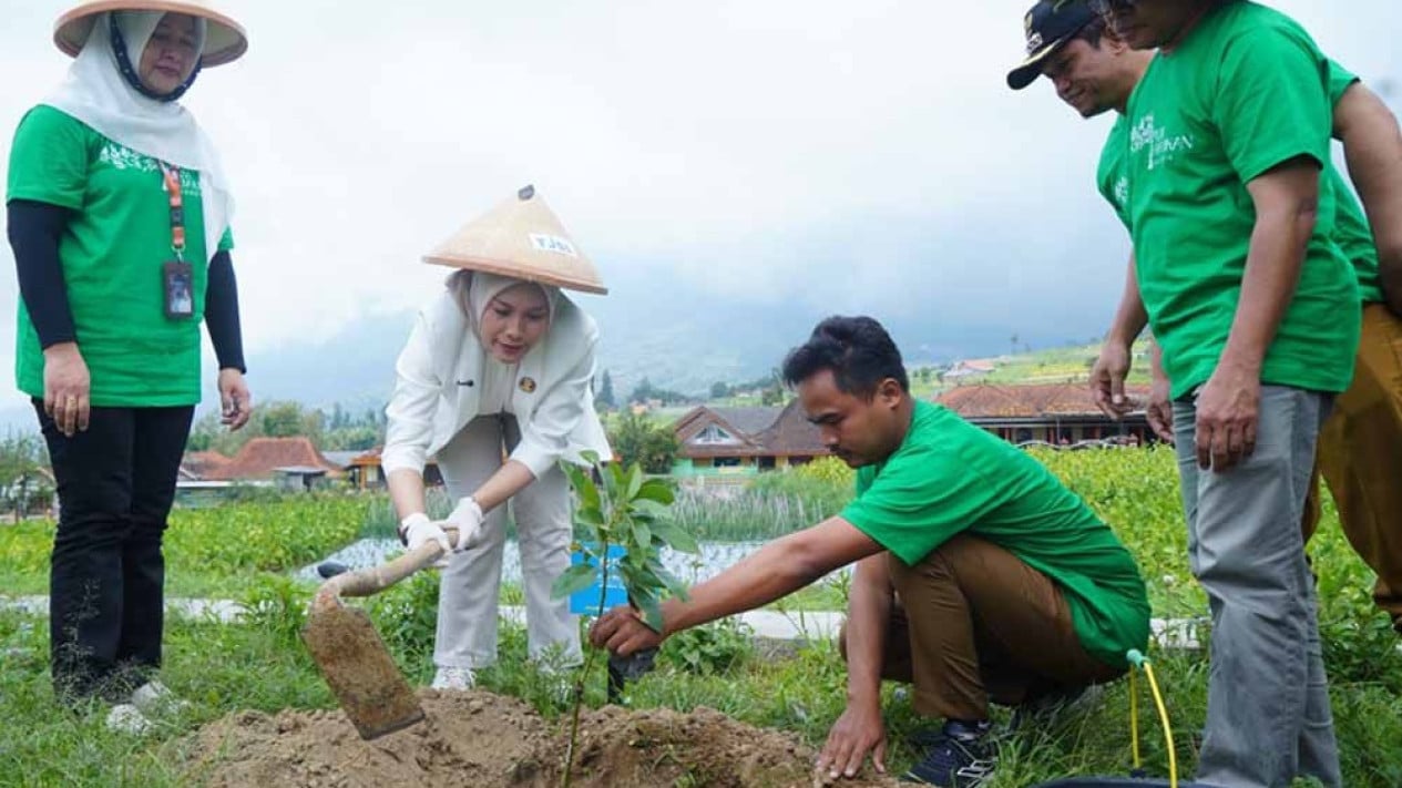 Protecting Forests, PNM Invites the Public to Join Real Actions