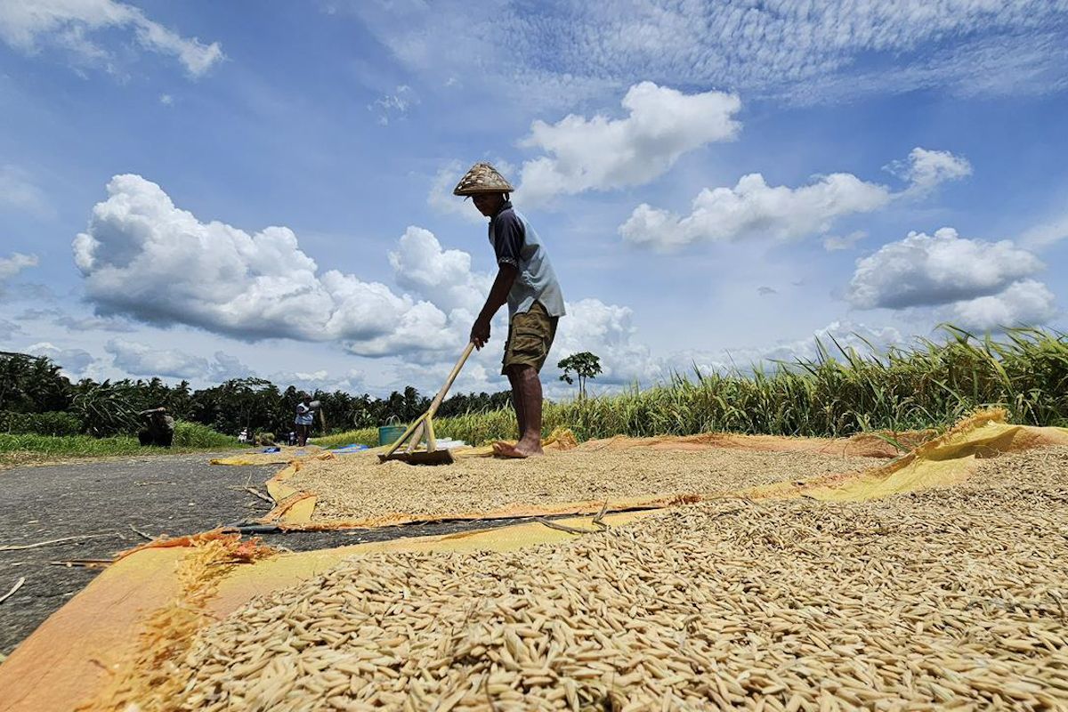 Agriculture Minister: Government Strengthens Independent Food Security