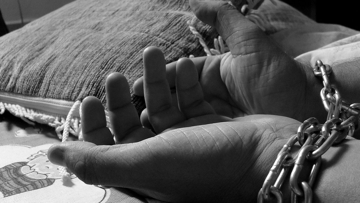 German National Deported After Researching Sulawesi Flora Without Permit