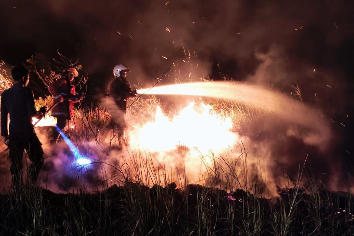 Natuna Regency Government Successfully Extinguishes Fire That Burned 50 Hectares of Land