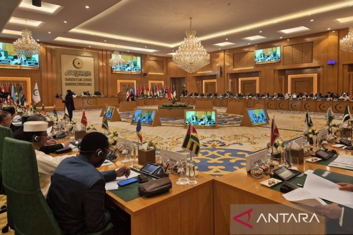 OIC Human Rights Committee: Iran's Attack Violates International Law