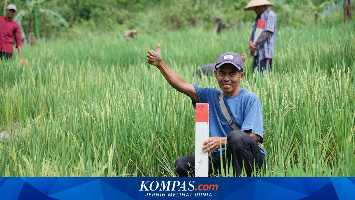 Safeguard Land Boundaries During Eid Return Trips to Avoid Neighbour Disputes