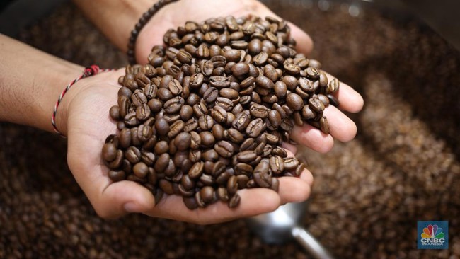 Why Has the World Fallen in Love with Indonesian Coffee? What Is the Secret?