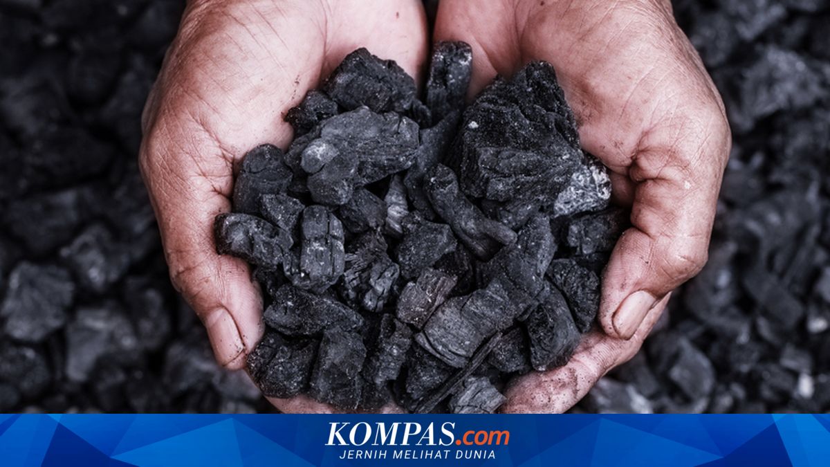 Soaring Energy Prices: Golden Opportunity for Indonesia's Mining Sector