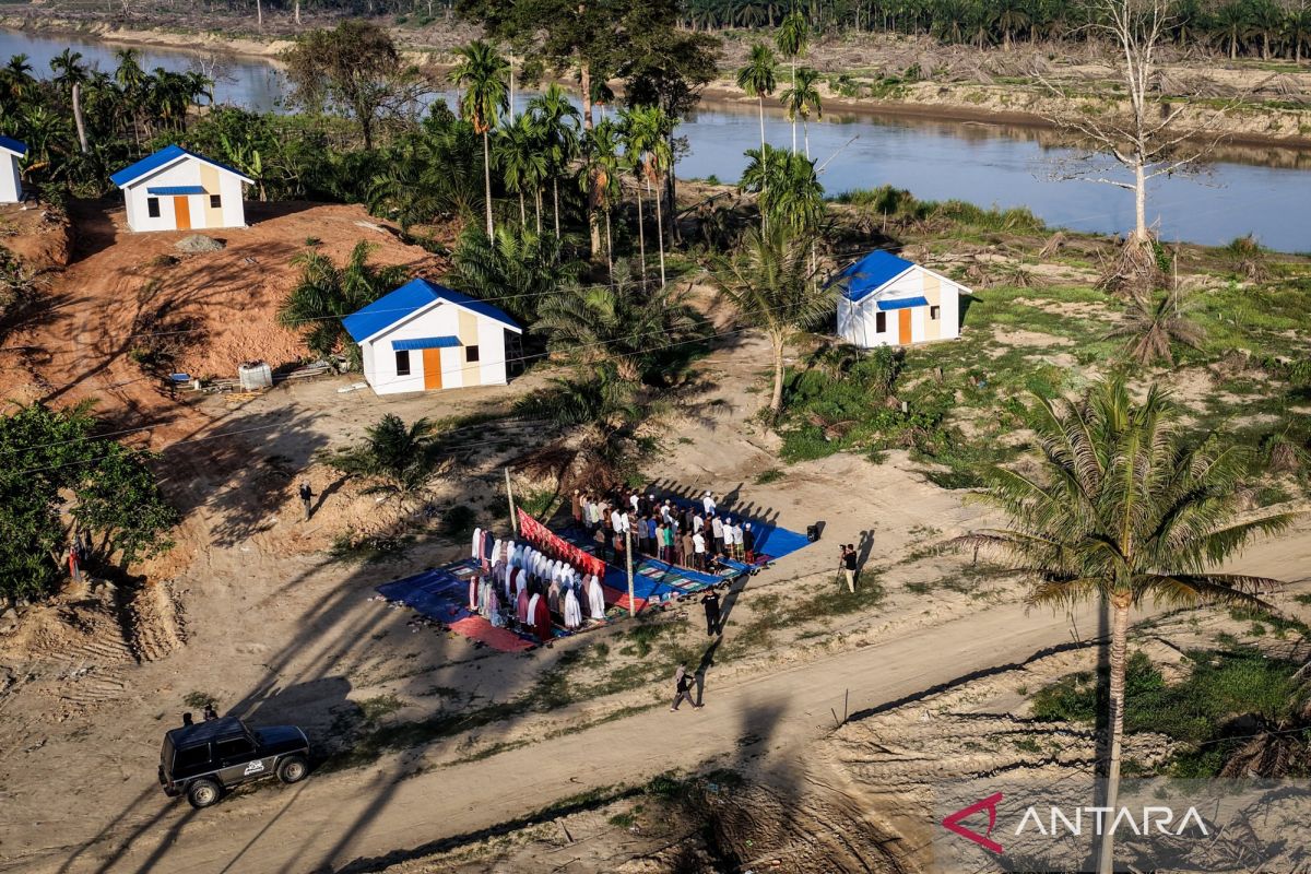 When Palm Trees Serve as a Reminder to Prostrate for Disaster Survivors