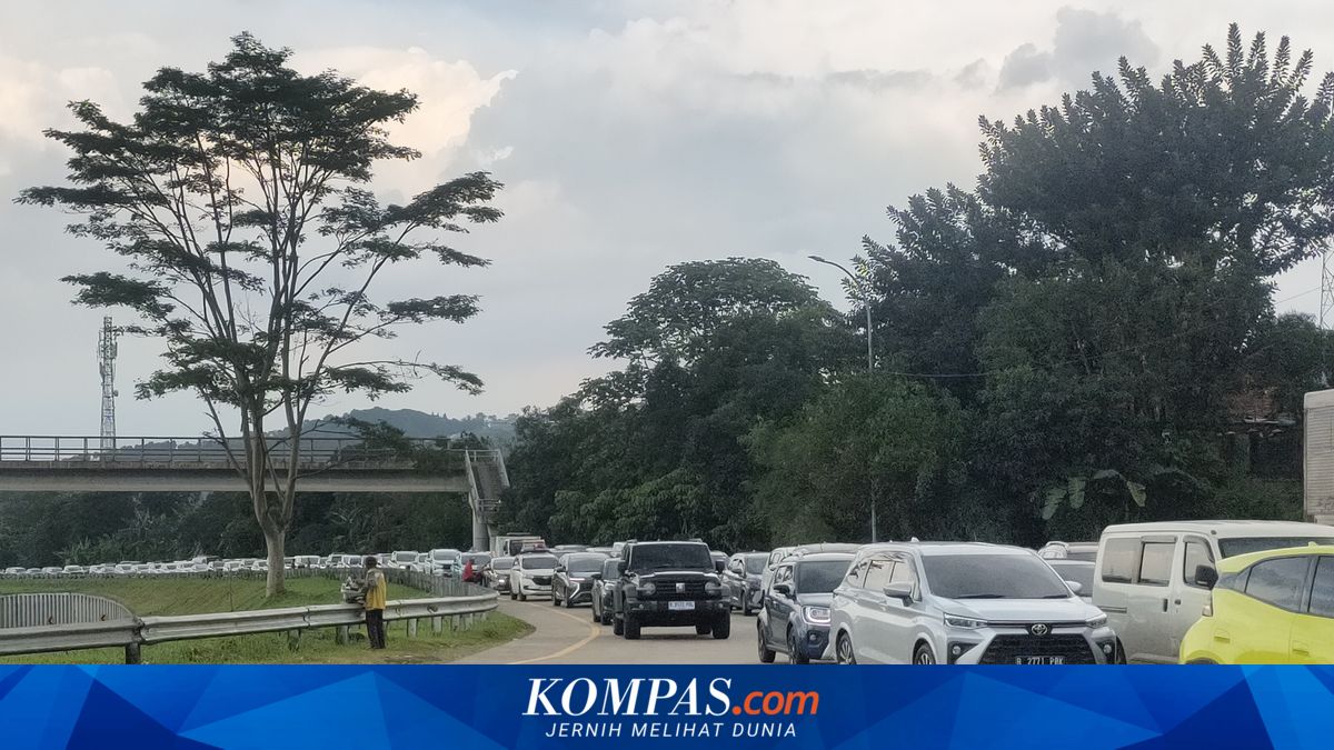 To Prevent Congestion, Police Recommend Holidaymakers Utilise WFA