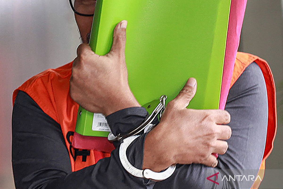 The Precision of Law Enforcers in Closing Loopholes for Corruption Diversification