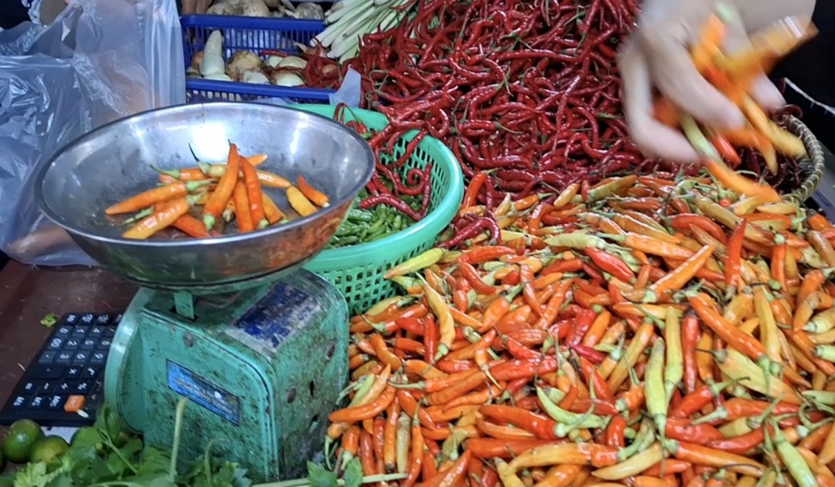 H+4 Lebaran 2026: Bird's Eye Chilli Price in Bangka Reaches Rp130,000 per Kg