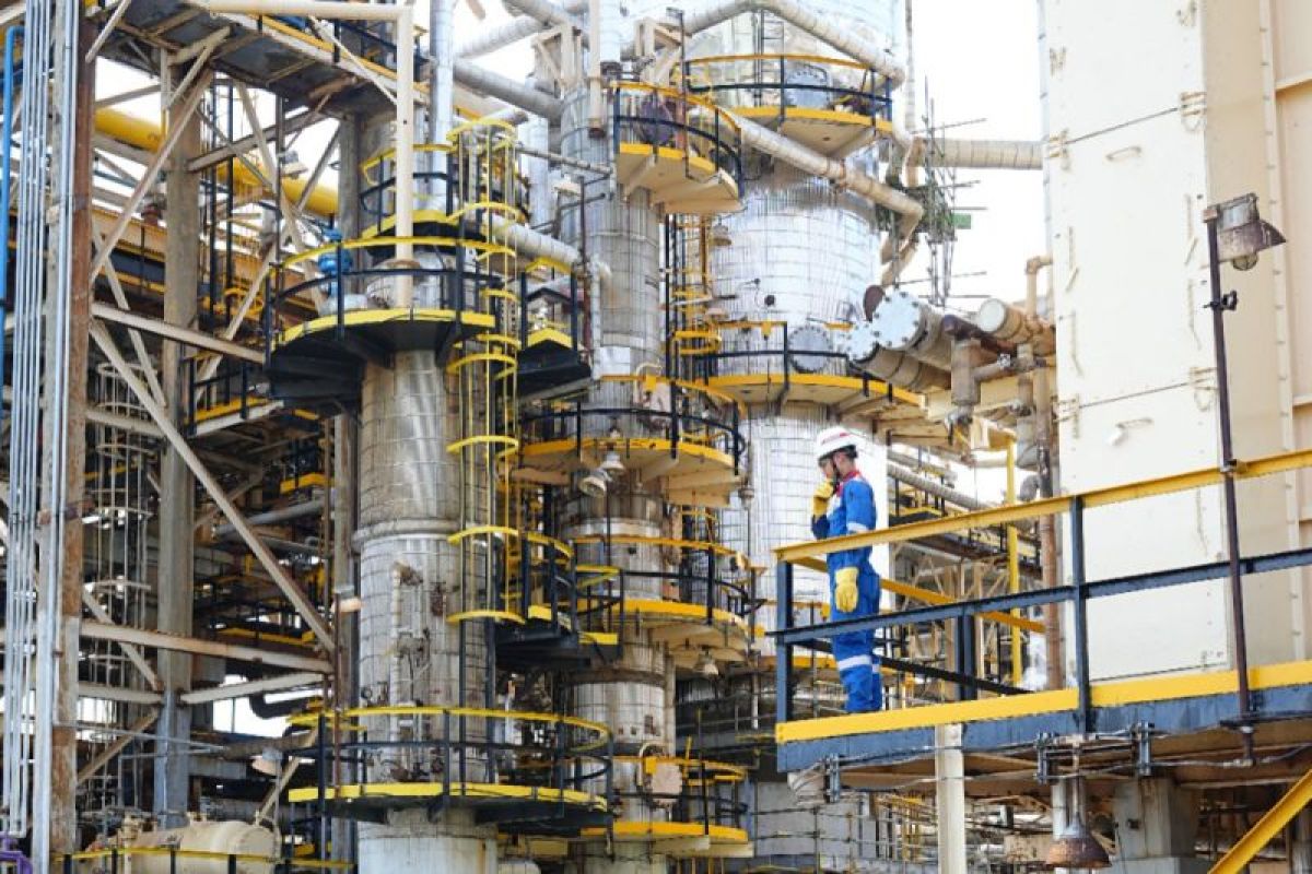 Expert: Society Need Not Worry About Energy, Must Remain Prudent