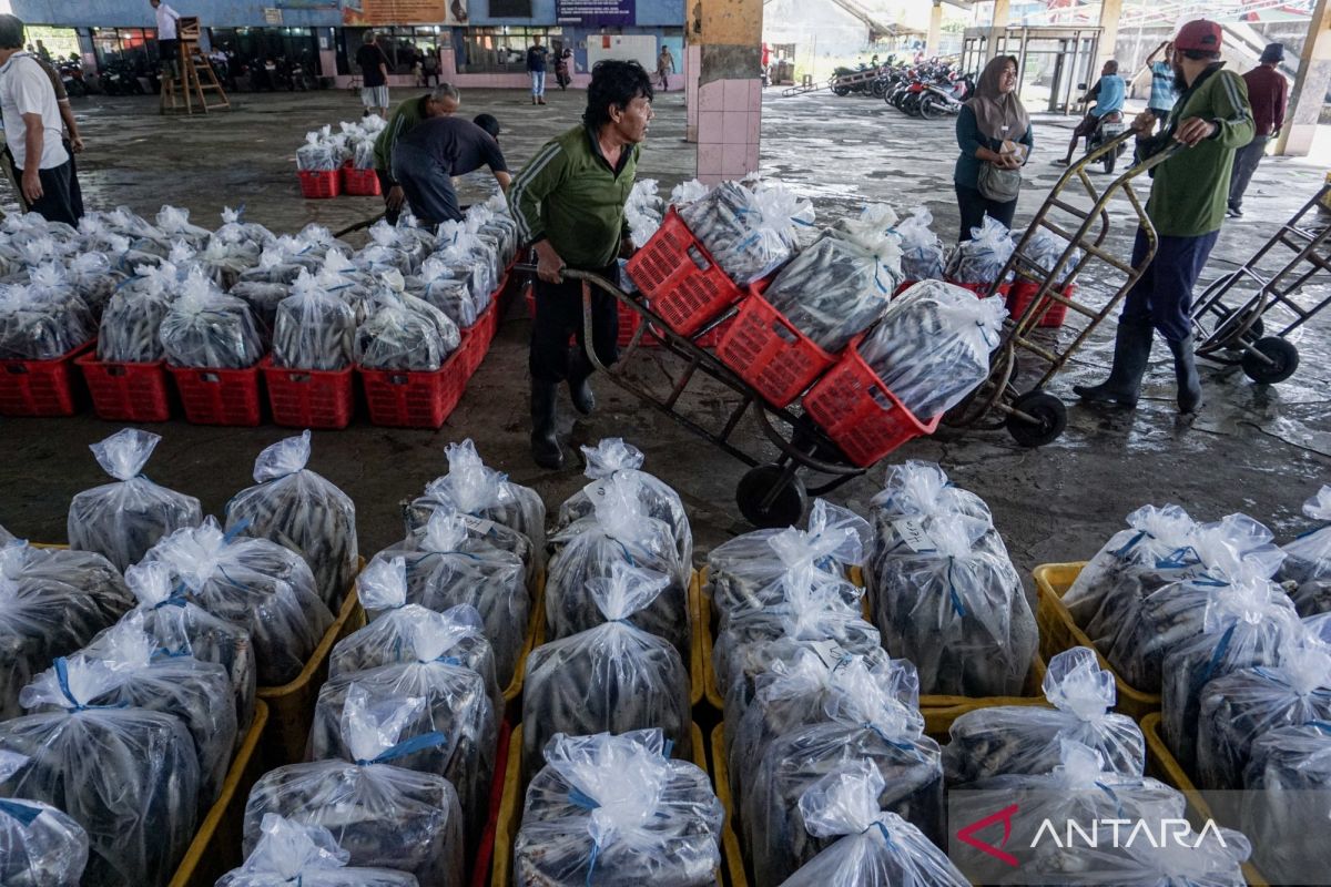 Gulf War and Alarm for Indonesia's Fisheries Resilience