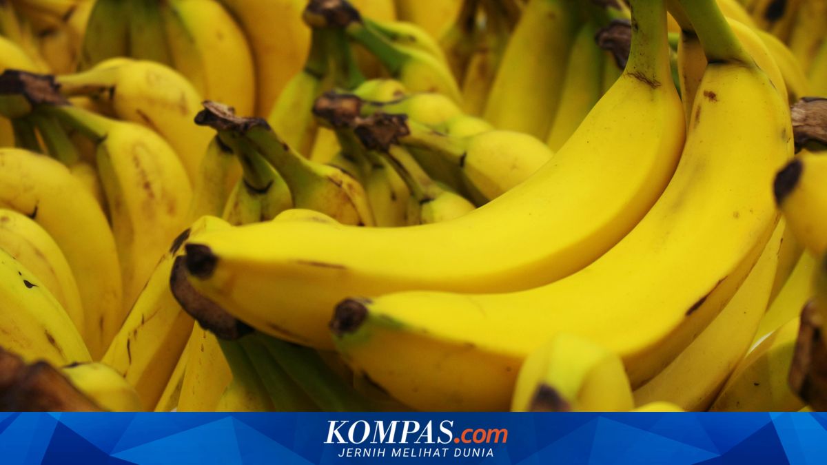 Philippines Risks Losing Rp 3.37 Trillion from Banana Exports Due to Iran War