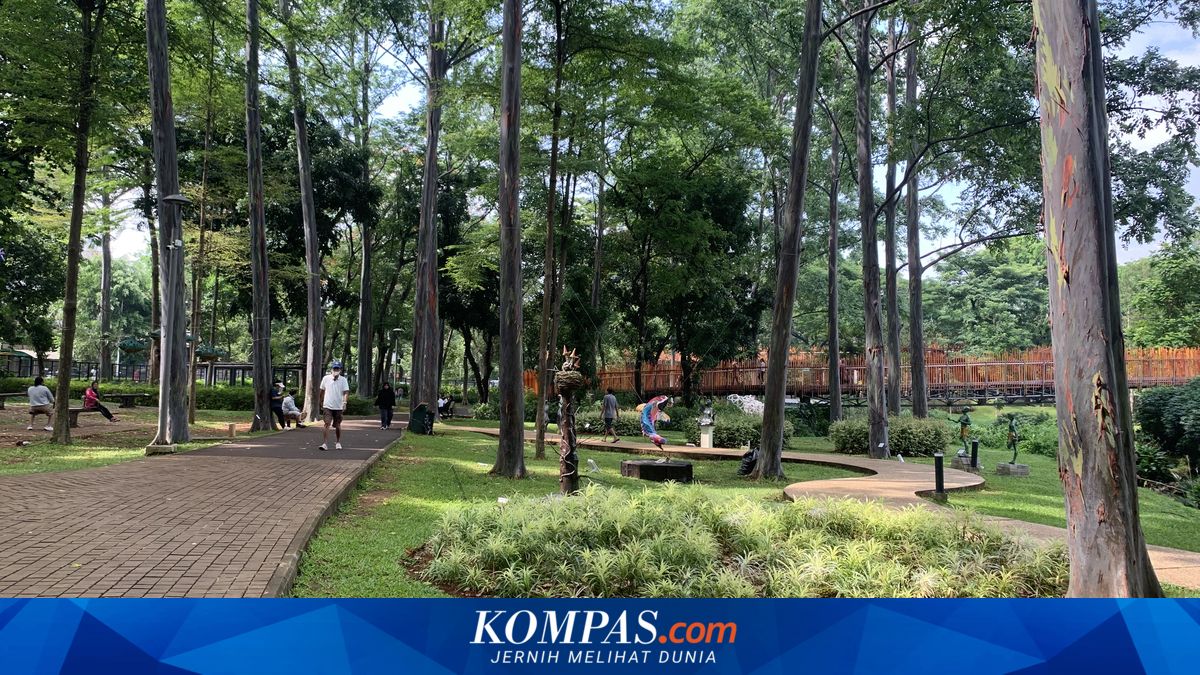 Visitor to Tebet Eco Park Barred from Taking Photos Again, Management Responds