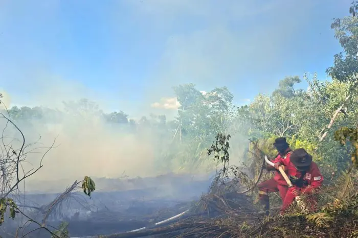 Batam Wildfires Threaten Power Supply and Reduce Visibility Near Airport