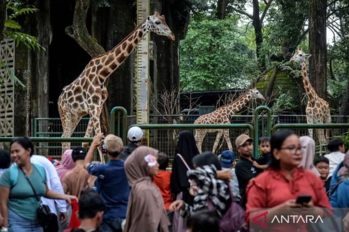 Hundreds of South Jakarta Satpol PP Personnel Guard Security in Tourist Areas