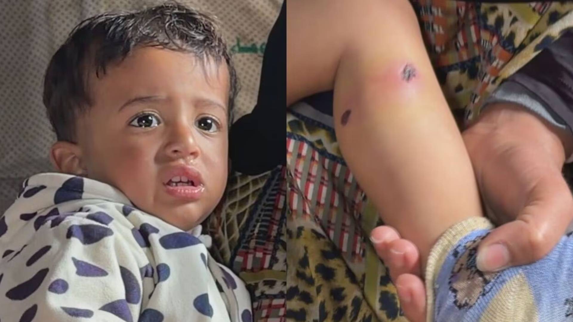 Israeli Military Tortures One-Year-Old Toddler for 10 Hours to Force Father's Confession