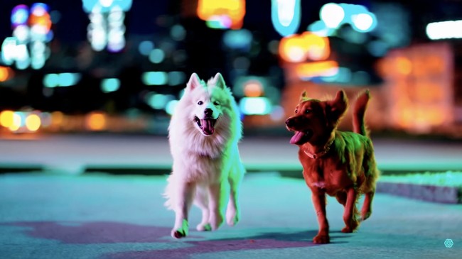 Popular App Shut Down After Just 6 Months, Merely a Waste of Money