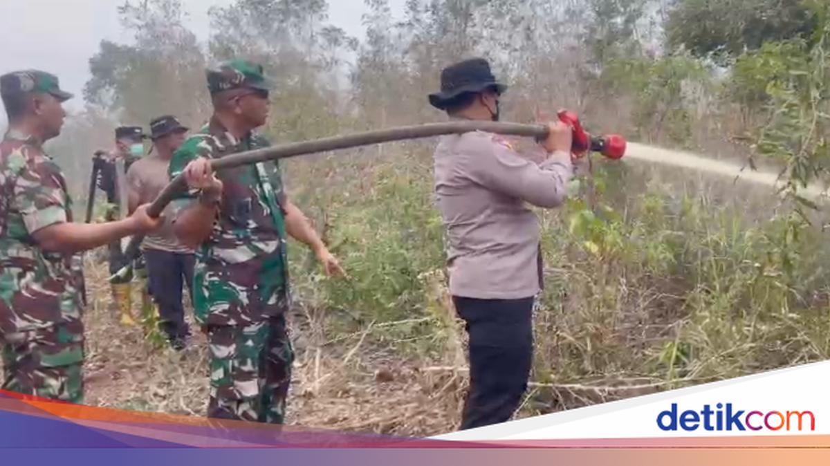14 Hotspots in Dumai Ablaze, Police and TNI Collaborate to Extinguish