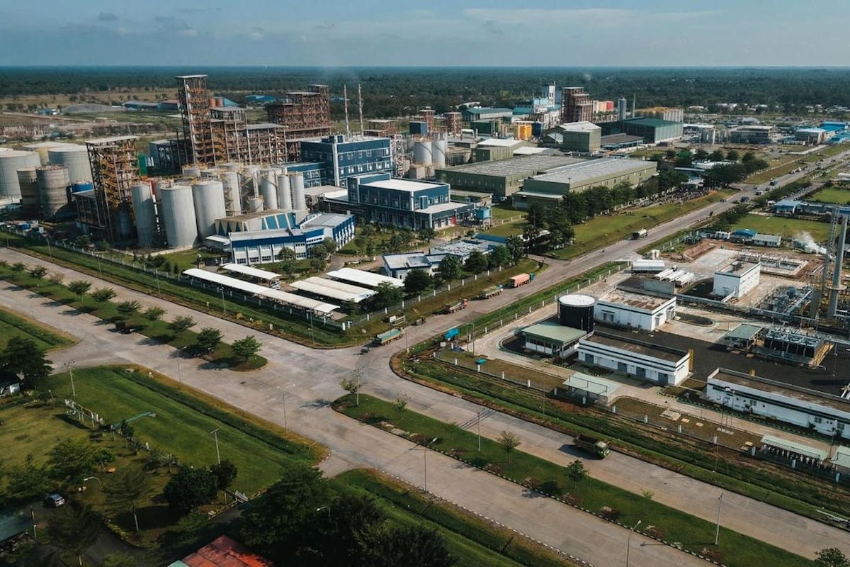 PalmCo Shifts Focus to Downstream Products to Boost the Economy