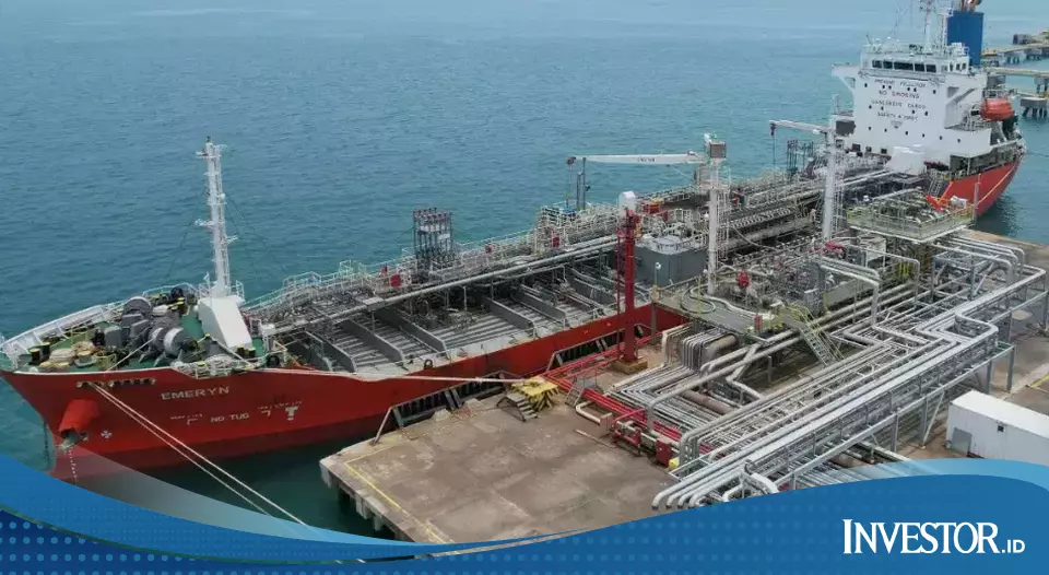 CDIA Profits Soar, Shares Follow Suit - Investor Daily