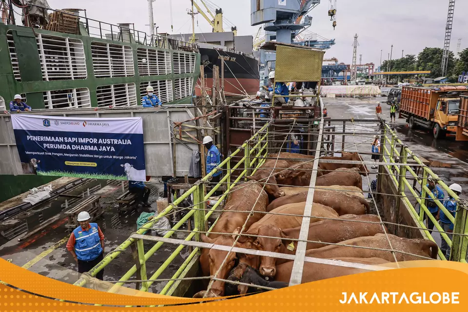 Private Investment in Cattle Rises, but Land Constraints Slow Indonesia's Supply Push