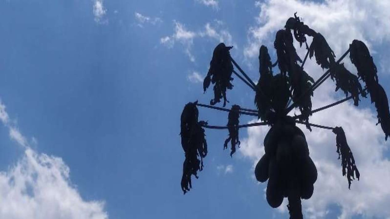 Government Takes These Steps to Prepare for Potential 'Godzilla El Nino'