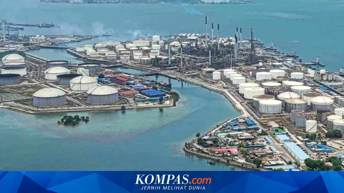 CDIA Records Significant Profit Surge, Electricity Segment Becomes Main Support