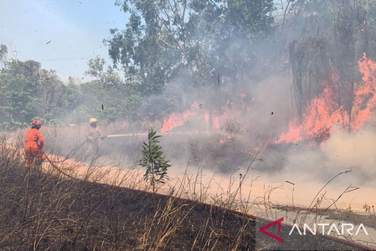 BNPB: In three months, 2,713 hectares of land in Riau burned