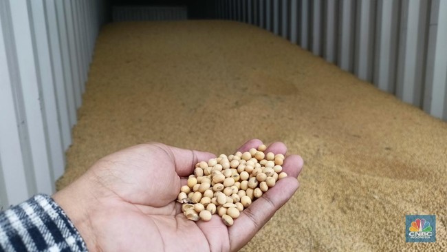 Amran Makes Bold Moves to Reduce Soybean Imports, Impact Felt by 2029