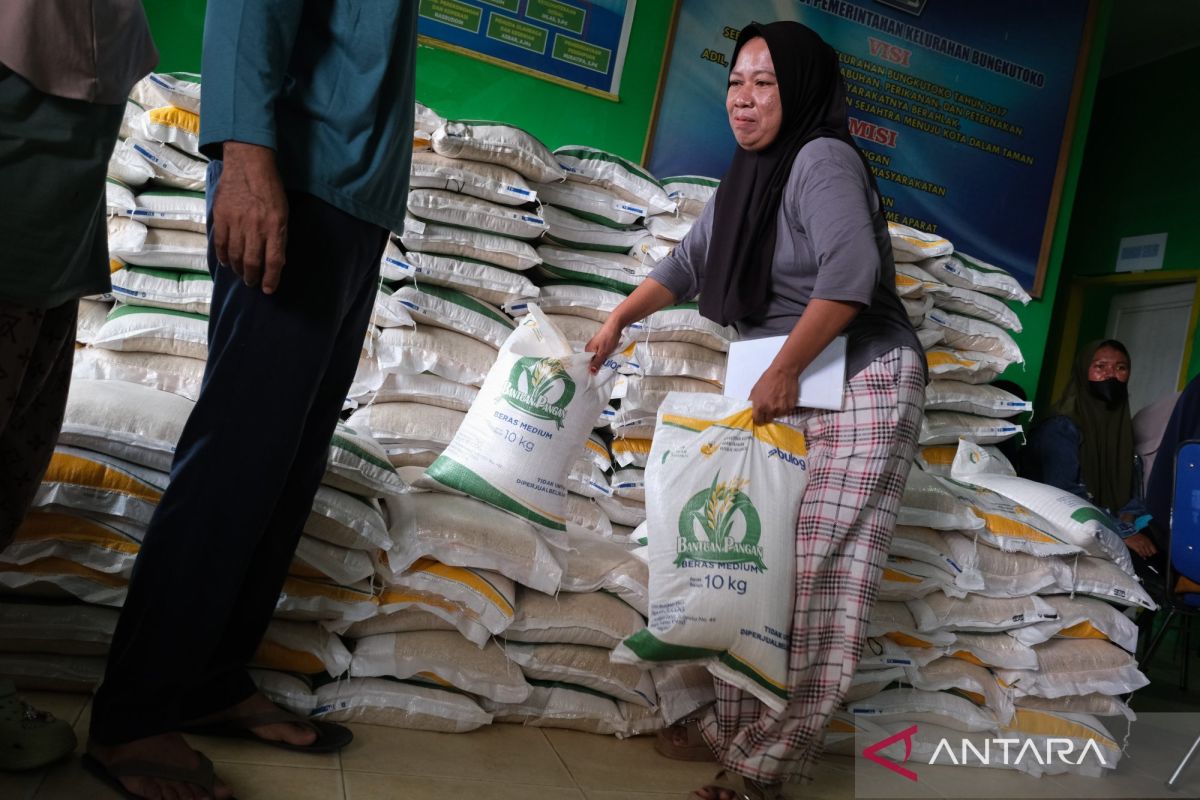 Indef Assesses Stock and Distribution as Key to Food Price Stability