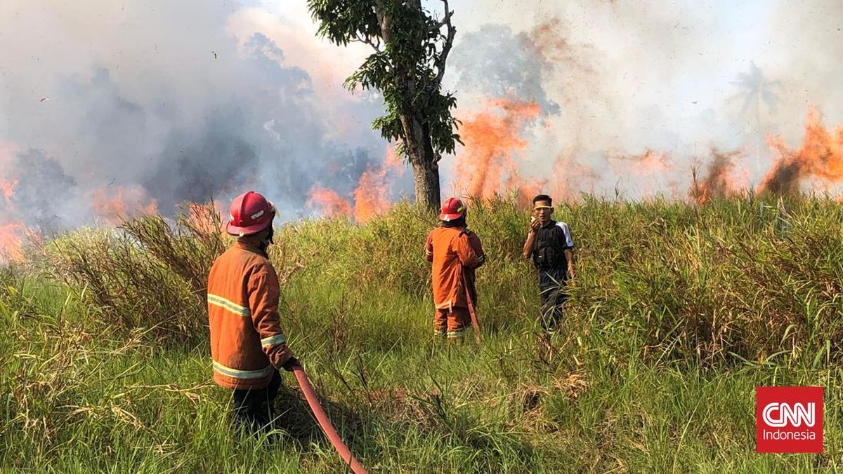 2,713 Hectares Burnt in Three Months, Riau Declares Forest and Land Fire Emergency Alert