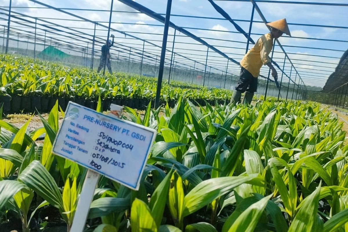 Palm Oil Industry Committed to Achieving Equality for Female Workers