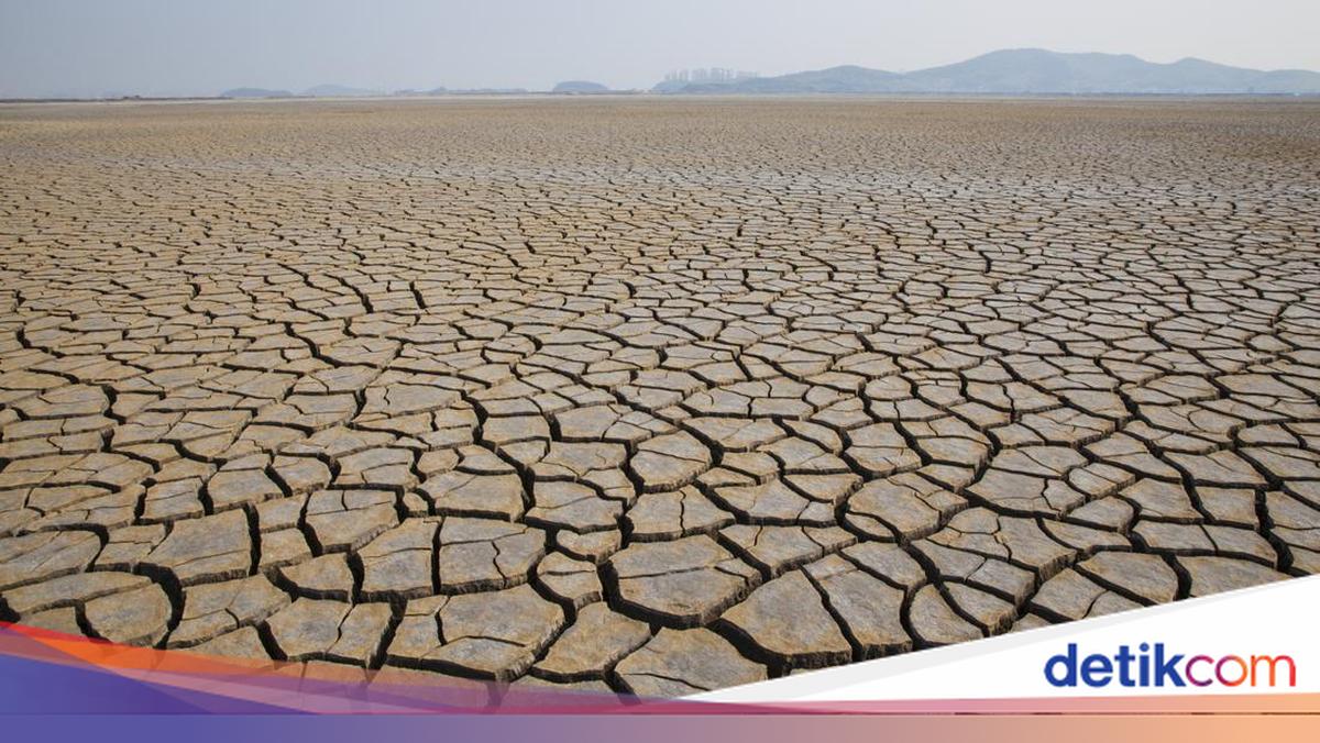 When is the 2026 Dry Season? Check the Early Predictions and Peak