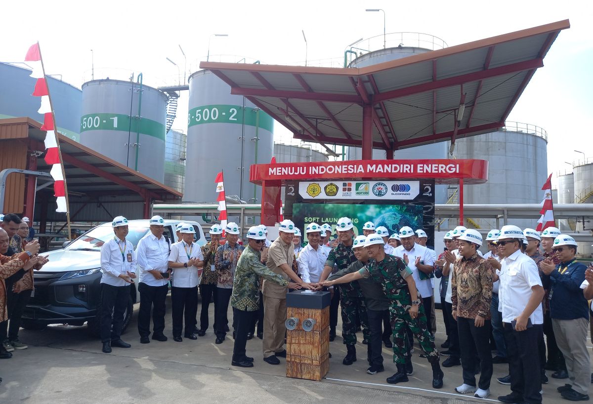 Anticipating Energy Crisis, South Kalimantan Promotes Development of New Renewable Energy