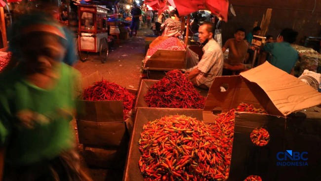 Dilemma of Chilli Sellers: Prices Remain High, Risk of Spoilage