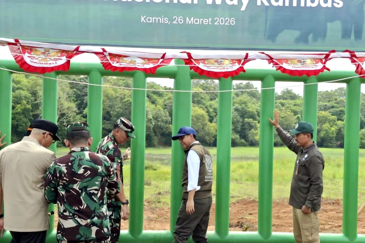 Forestry Minister: TNWK Boundary Fence Targeted for Completion in Four Months