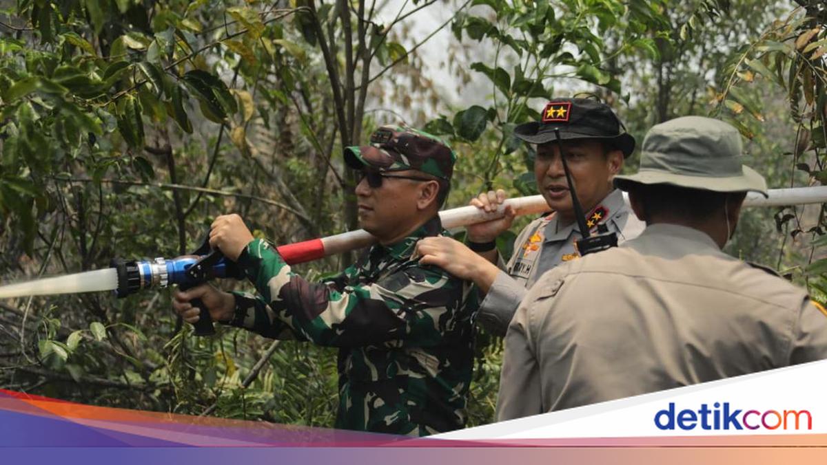 Riau Police Chief Inspects Forest and Land Fires in Dumai, Emphasises Law Enforcement and Prevention