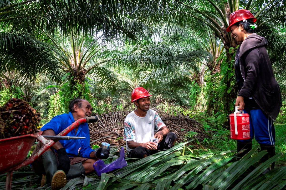 Commitment to Achieving Equality for Female Workers in the Palm Oil Industry