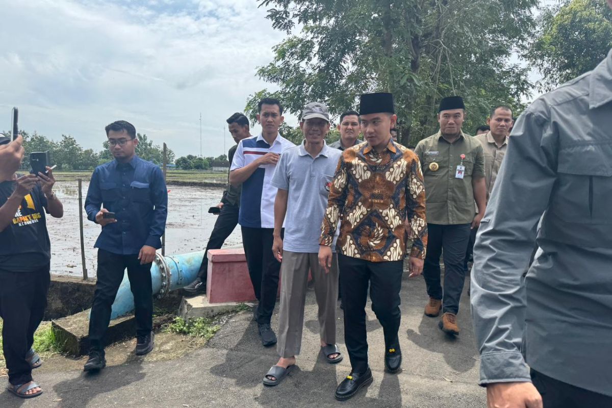 Vice President Gibran inspects village road paving project in Sragen