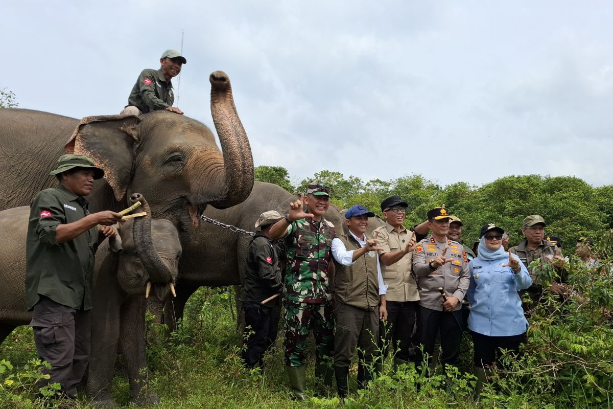 Way Kambas National Park pilot for innovative climate financing
