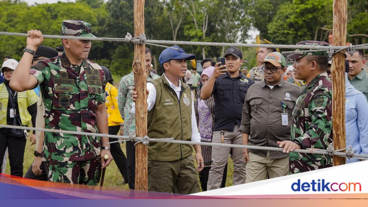 In Line with Prabowo's Instructions, 138 Km Fence for Way Kambas National Park Begins Construction