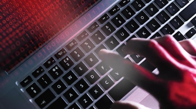 Internet Transformed Completely, Evidence That Humans Are Being Replaced